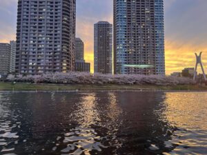 2026年4月5日 風景＠屋形船『石川丸』